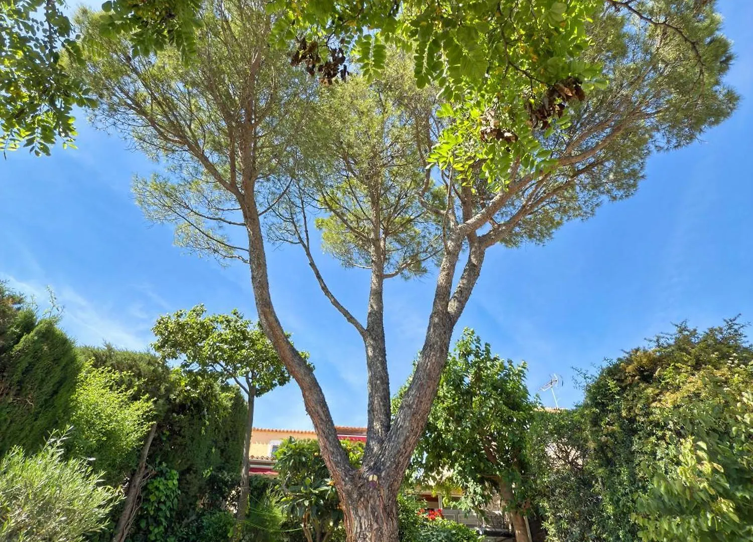 Maison Au Calme Avec Jardin Marsylia Willa