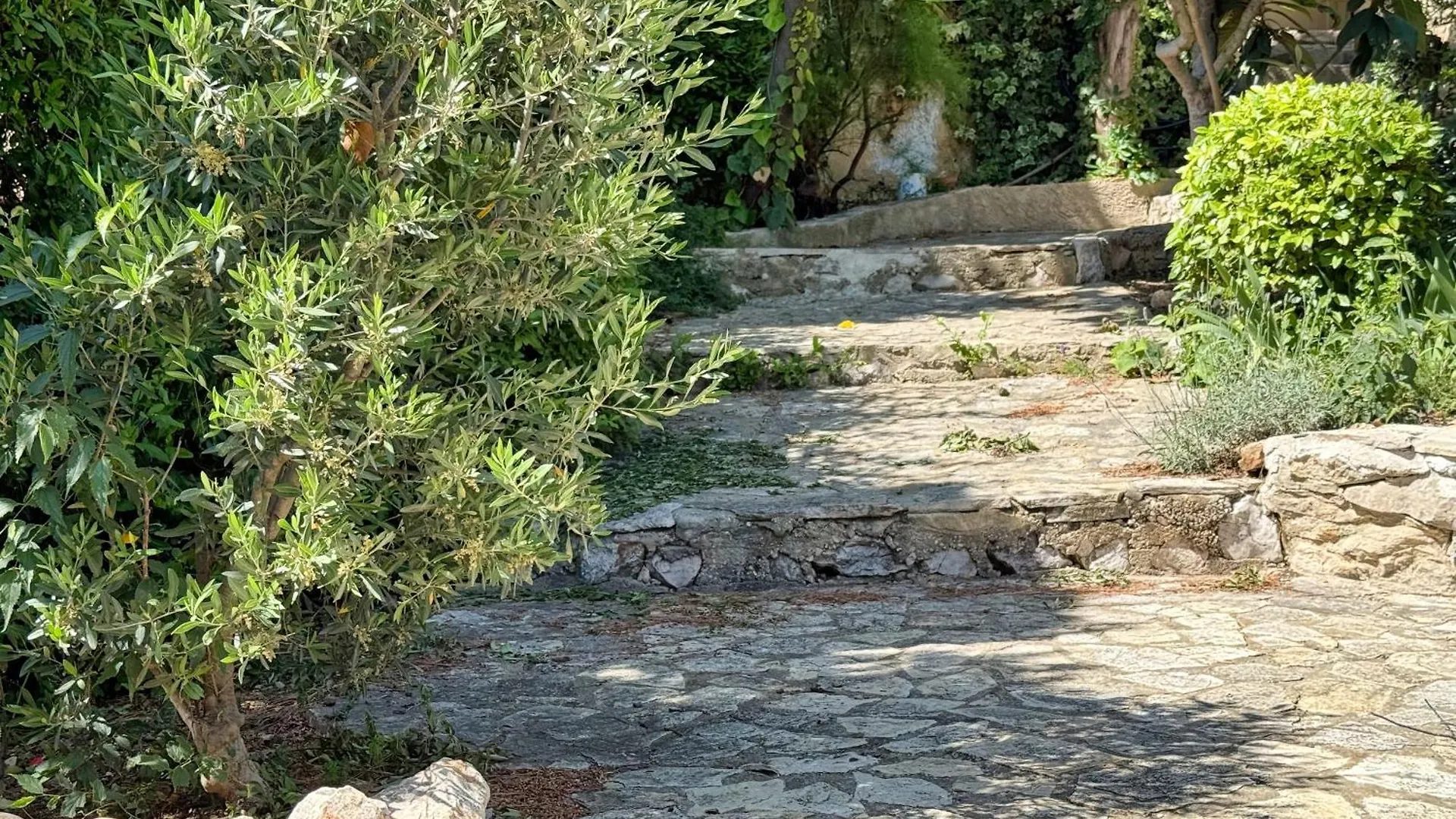 Maison Au Calme Avec Jardin Marseille Vila